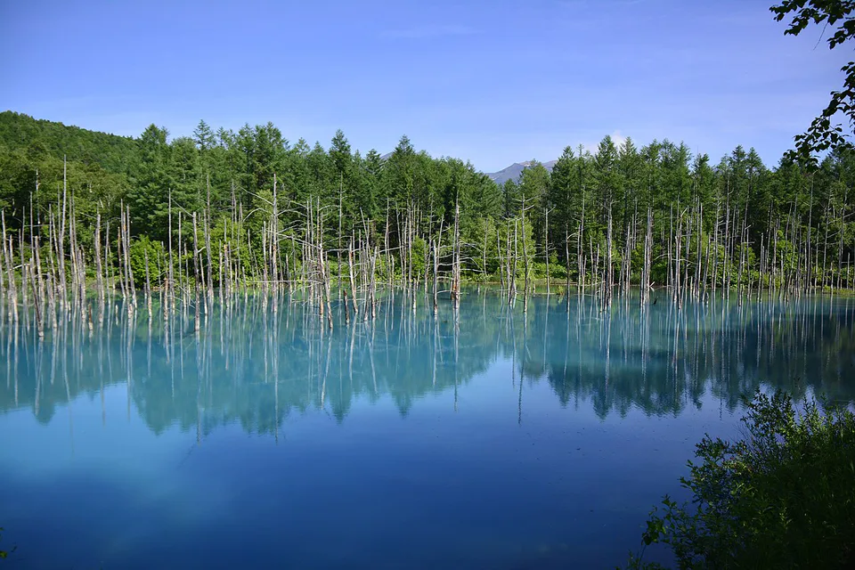Hokkaido Private Car Charter 2026: 10 Hours Is Not 10 Hours of Sightseeing — Japan travel guide