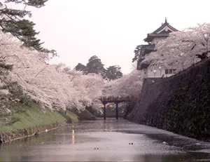 Japan’s 100 Famous Castles No.4: Hirosaki Castle — The Keep Is Closed, but 2026 Is the Year to Watch It Move — Japan travel guide