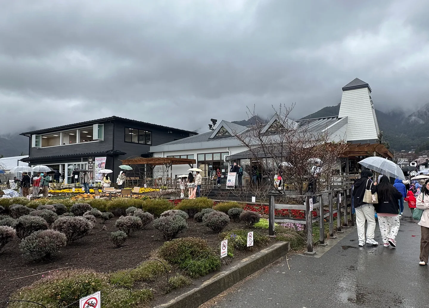 Oishi Park on Lake Kawaguchiko for a weather-flexible Mount Fuji itinerary